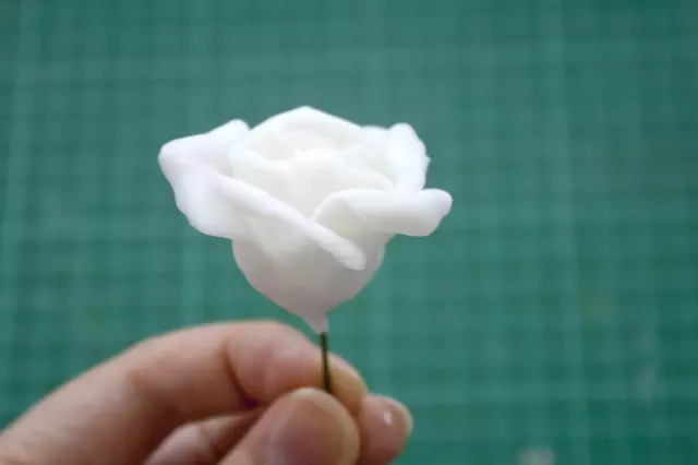 Flores da porcelana fria com suas próprias mãos: modelagem para iniciantes com fotos e vídeos