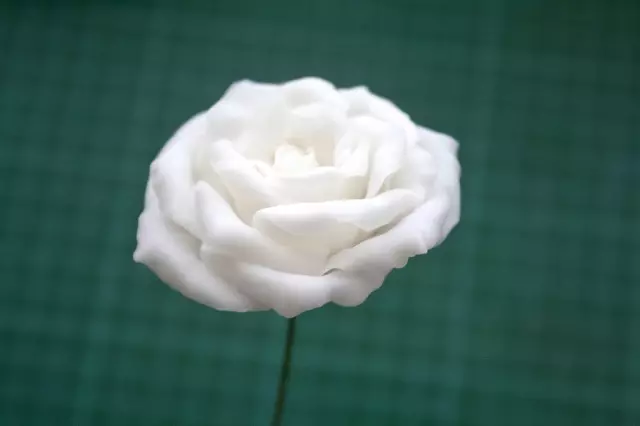 Blomme van koue porselein met eie hande: Modellering vir beginners met foto's en video