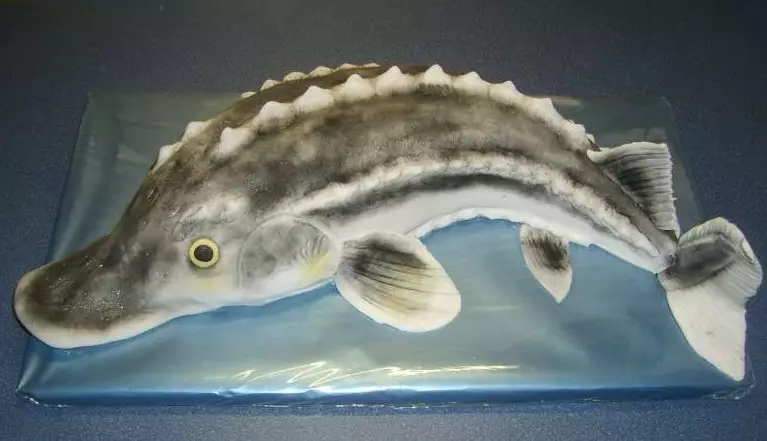 3D kūka zivis no cukura mastica. 50 idejas