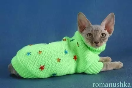 Roupas para gatos fazem você mesmo com agulhas de tricô com fotos e vídeos