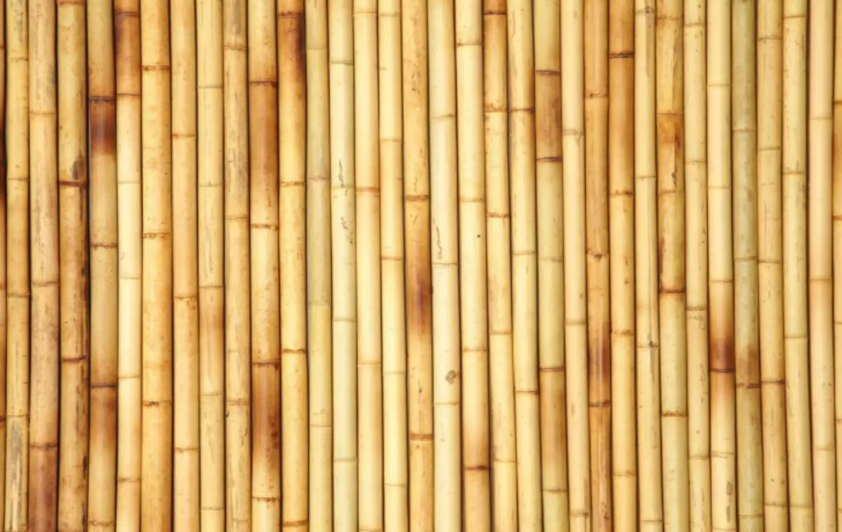 Painéis de bambu de parede e teto - florestas de frescura em seu quarto