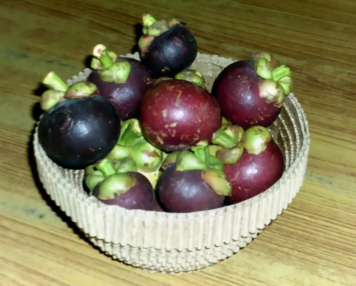 Брановидна картонска вазна за овошје DIY