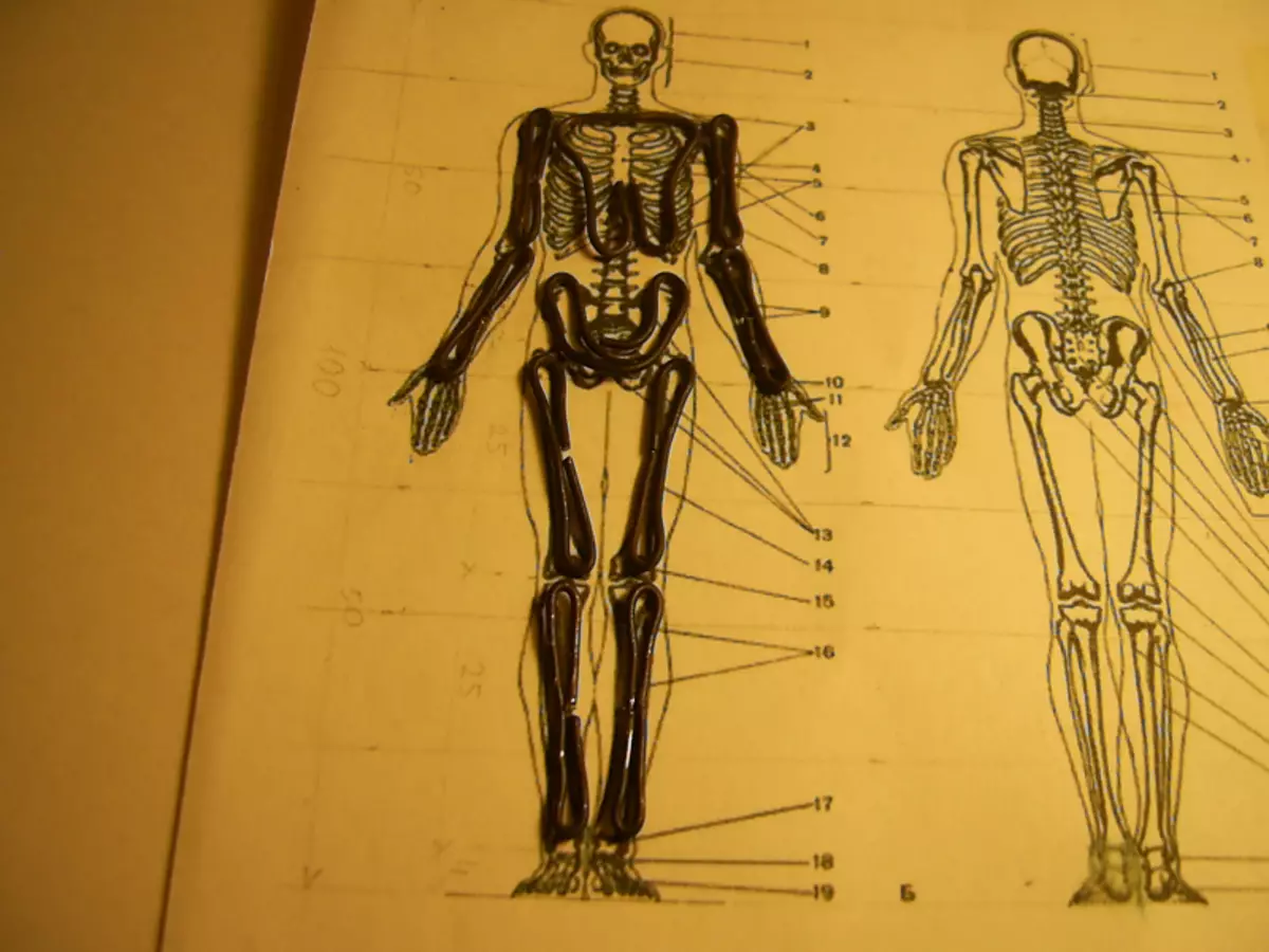 Cum să faci etapele de plasticină ale unei persoane: ei sculp fata cu fotografii și video