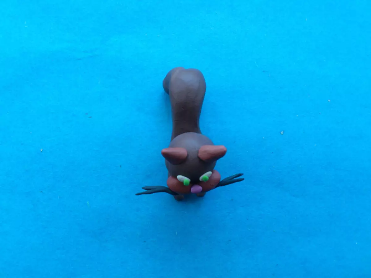 How to make a cat from plasticine stages: master class with photos and video