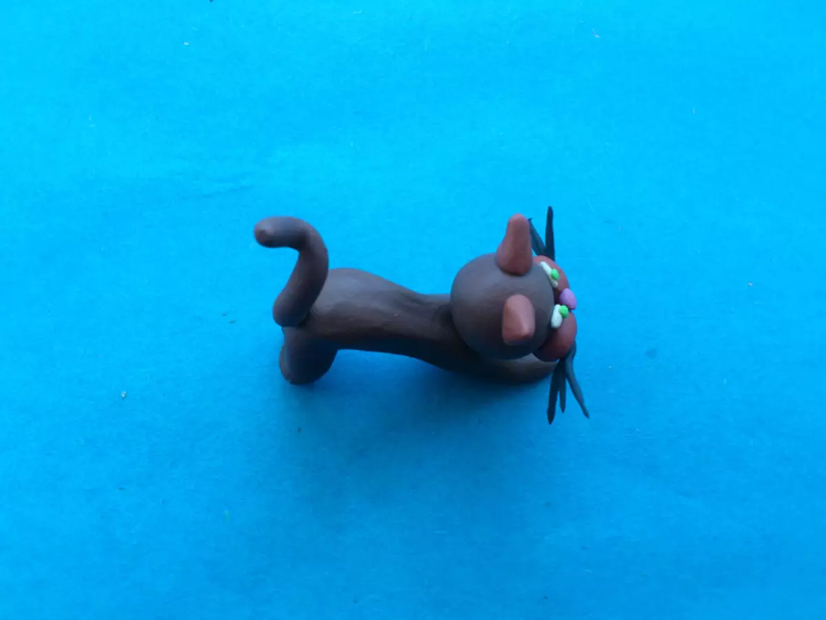 Sådan laver du en kat fra plasticine faser: Master klasse med billeder og video