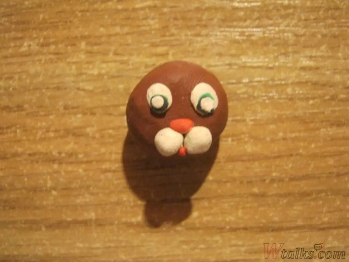 Hvordan lage en katt fra Plasticine Stages: Master Class med bilder og video