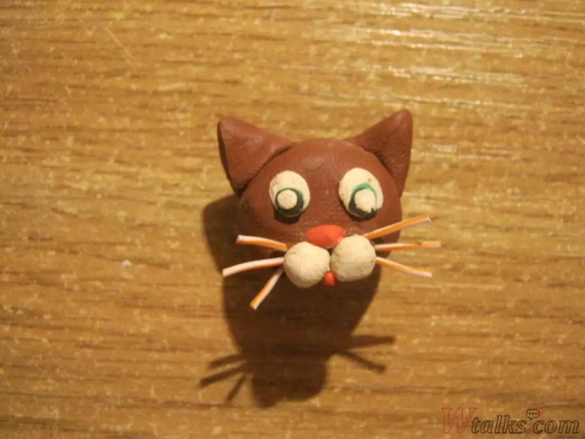 如何从橡皮泥阶段制作一只猫：主课程与照片和视频
