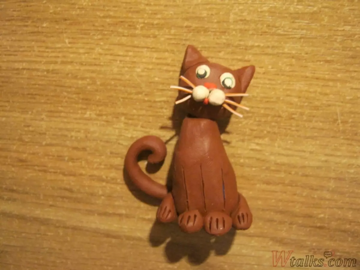 Comment faire un chat d'étapes de la plasticine: classe de maître avec photos et vidéo