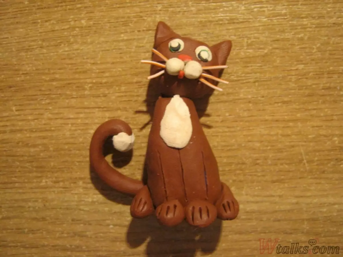 粘土ステージから猫を作る方法：写真とビデオとマスタークラス