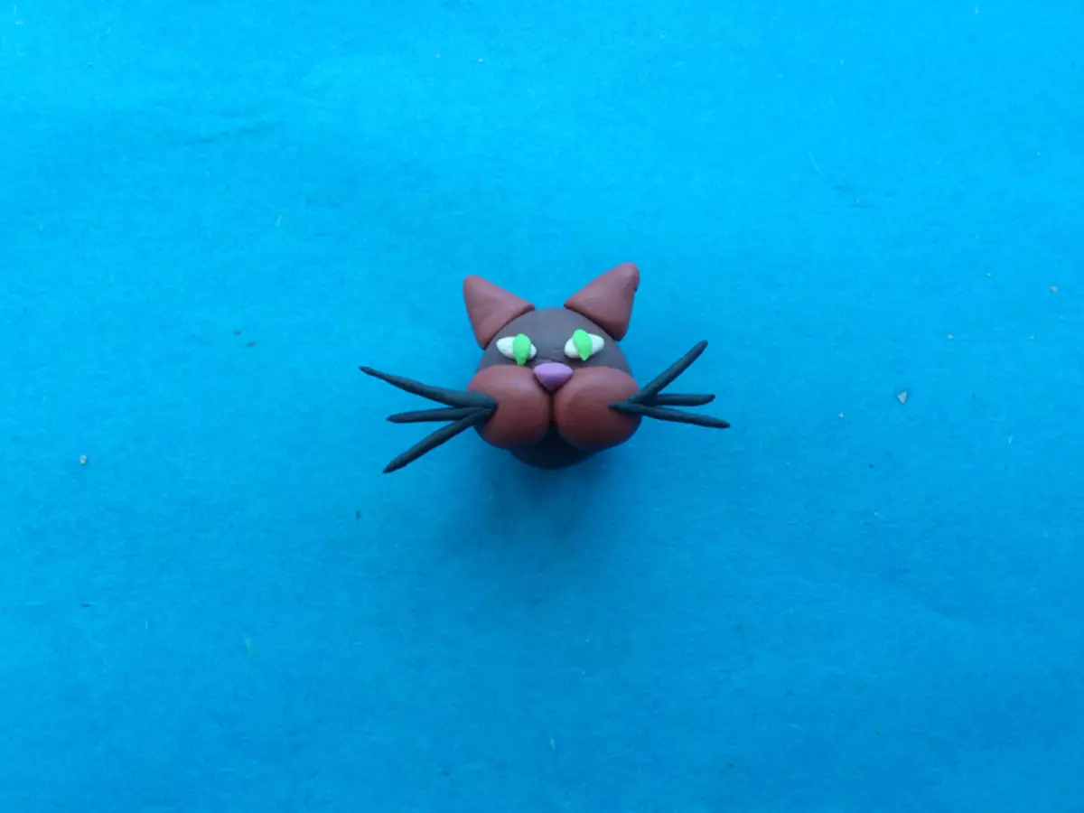 प्लॅस्टिकिन टप्प्यांपासून मांजर कसे बनवायचे: फोटो आणि व्हिडिओसह मास्टर क्लास