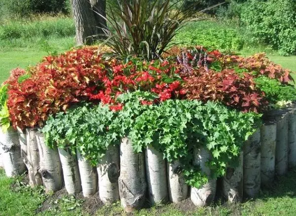 Arrangement around the tree: flowerbed, bench, table and even gazebo