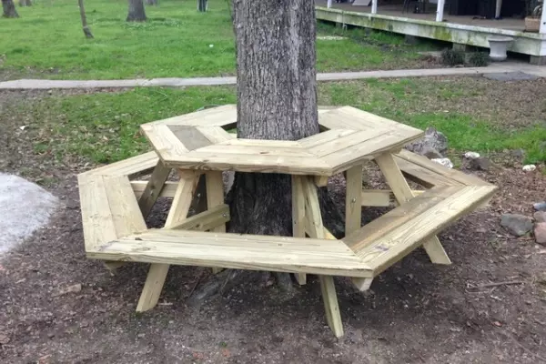 Arrangement rond de boom: bloembed, bank, tafel en zelfs gazebo