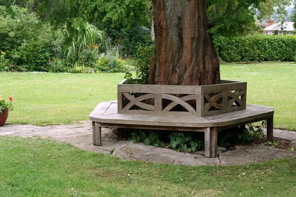 Arrangement around the tree: flowerbed, bench, table and even gazebo