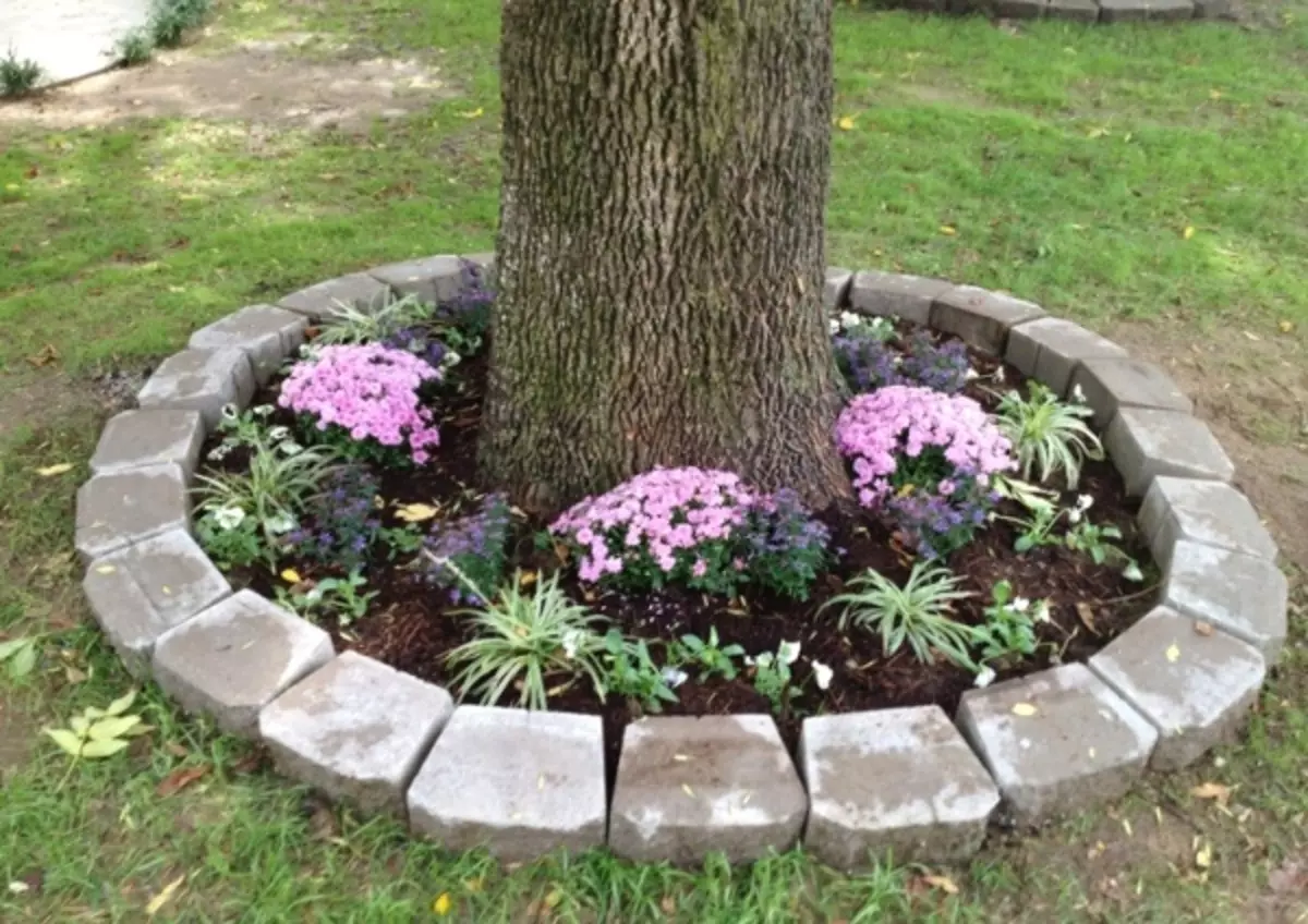 Arranjo em torno da árvore: canteiro de flores, banco, mesa e até gazebo