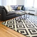 Kako odabrati tepih u dnevnoj sobi i hodniku?