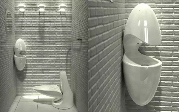 शौचालय डिझाइन: स्वत: डिझाइन विकसित करा
