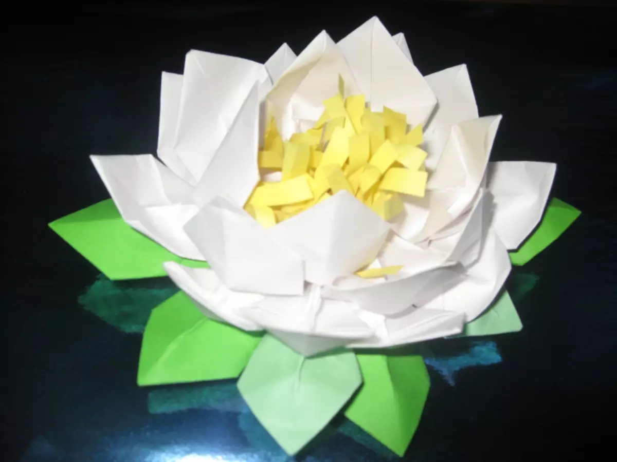 Paperi liljat tekevät sen itse: Master-luokka, jossa vaiheittaiset ohjeet