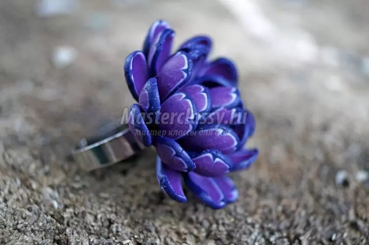 Polymer Clay Rings: Masterklasse mei foto's en fideo's