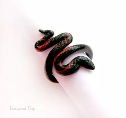 I-Polymer Clay Rings: Iklasi enkulu enemifanekiso kunye neevidiyo