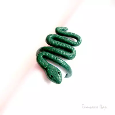 Polymer Clay Rings: Master chav nrog cov duab thiab cov yeeb yaj duab