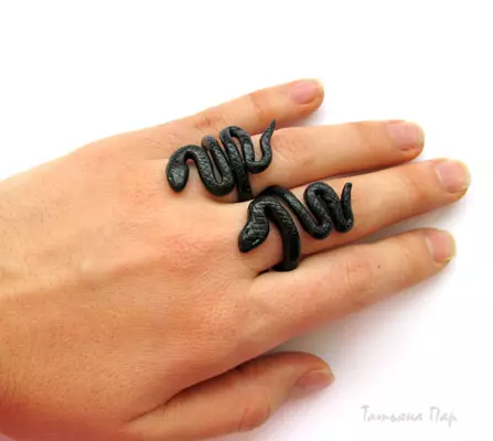 Polymer Clay Daring: Kilasi Titun pẹlu Awọn fọto ati Awọn fidio