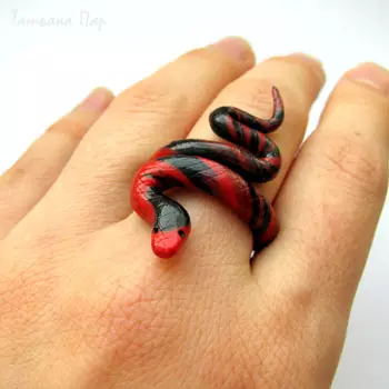 Polymer Clay Rings: Master klasse med billeder og videoer