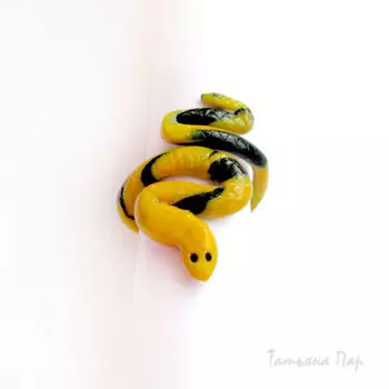 I-Polymer Clay Rings: Iklasi enkulu enemifanekiso kunye neevidiyo