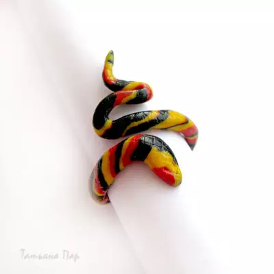 Polymer Clay Rings: Master Class med bilder og videoer