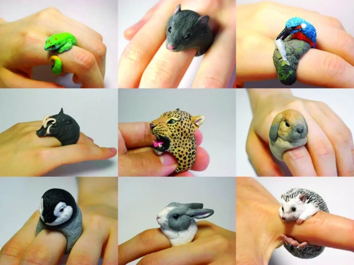 I-Polymer Clay Rings: Iklasi enkulu enemifanekiso kunye neevidiyo