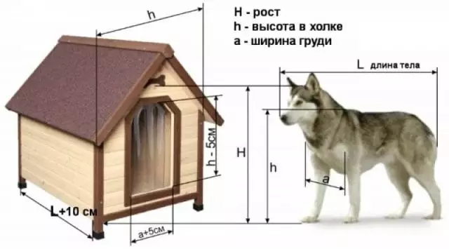 Step-by-Step Technology of Building Booth Dog Tee se itse