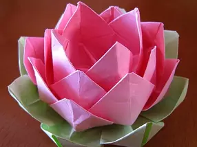 Paper Lotus: Classe de maître origami avec photos et vidéo