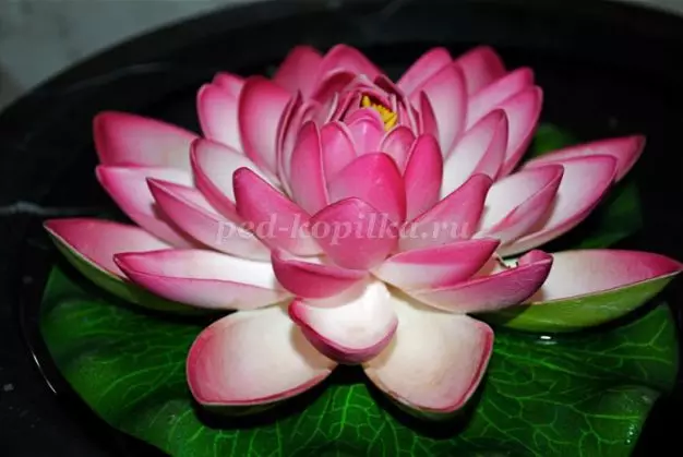 Lotus Kertas: Kelas Master Origami Kanthi Foto lan Video