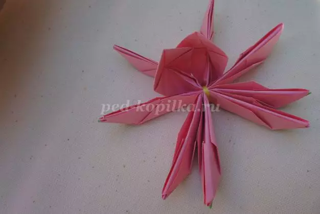 Papir Lotus: Origami Master razred s fotografijami in video