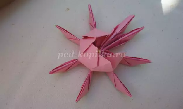 Impapuro lotus: icyiciro cya origami icyiciro hamwe n'amafoto na videwo