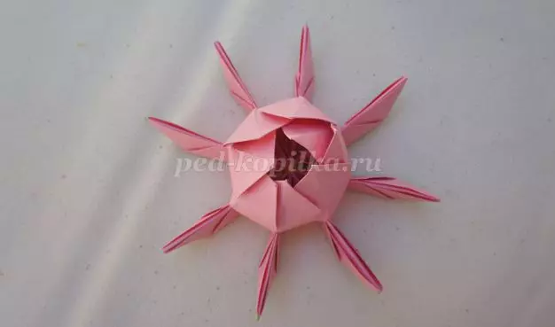 పేపర్ లోటస్: ఫోటోలు మరియు వీడియోతో Origami మాస్టర్ క్లాస్