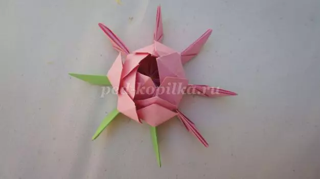 Paper Lotus: classe magistral d'origami amb fotos i vídeo