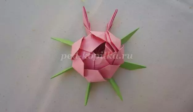 Lotus di carta: classe master origami con foto e video