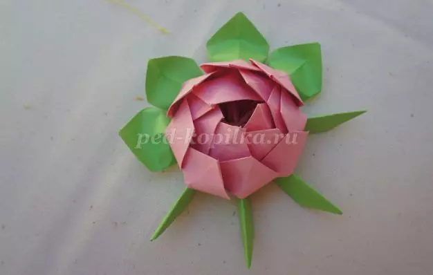 Paber Lotus: Origami Master klassi fotode ja videoga
