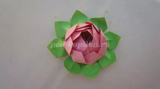 Papur Lotus: Dosbarth Meistr Origami gyda lluniau a fideo