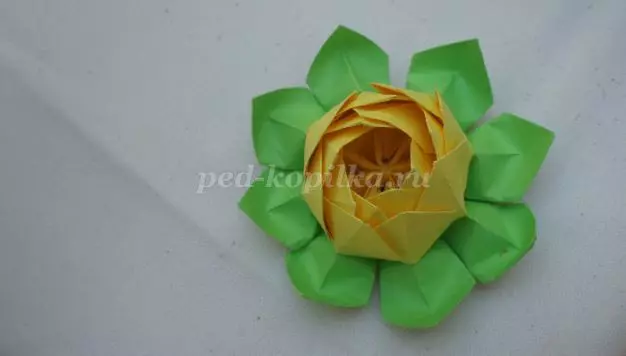 Paper Lotus: Origami Master Class bi wêne û vîdyoyê