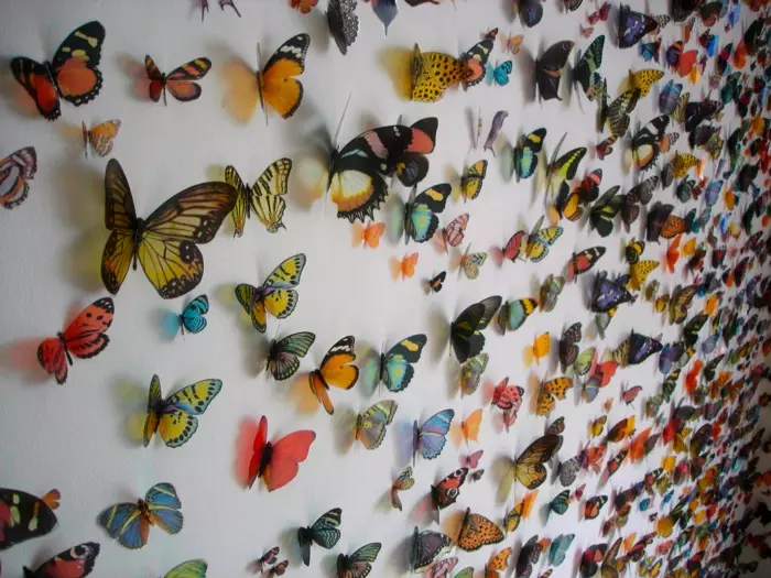 Бабочек легкая стая. Много бабочек. Очень много бабочек. Стайка бабочек. Множество бабочек.