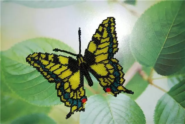 ကျောက်တုံးကျောက်ခုံးပေါ်၌ရှိသောပို့စကတ်ပေါ်တွင်သင့်ကိုယ်ပိုင်လက်ဖြင့် Butterfly