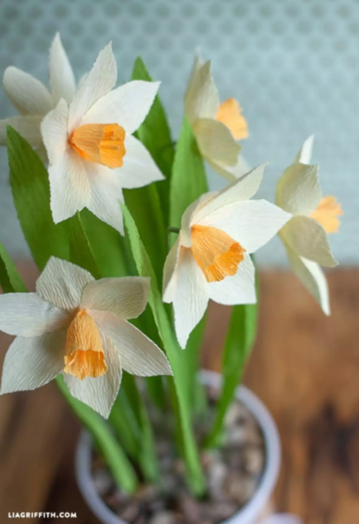 Narcissus paper ondulatuaren eskuetatik gozokiekin