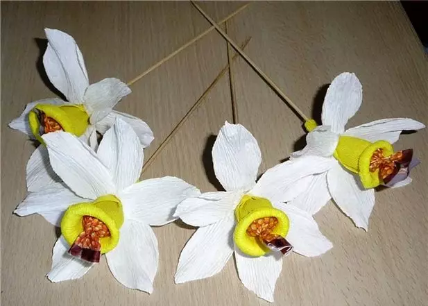 Narcissus de la hârtie ondulată cu mâinile lor cu bomboane