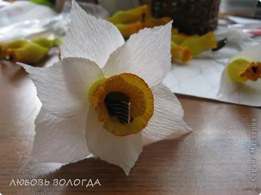 Нарцис от гофрирана хартия със собствените си ръце с бонбони