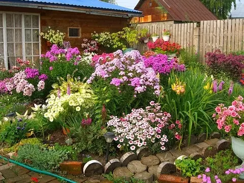 Beautiful flower beds in the country do it yourself