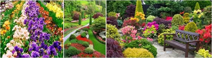Beautiful flower beds in the country do it yourself