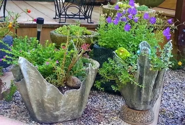 Cement Crafts for Garden: more than 20 ideas, instructions and master classes