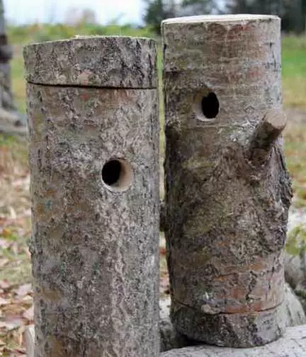 Bunnen (Villercher fir Villercher) maachen et selwer. Wéi ee Vugelhouse ze maachen - Uweisungen an Zeechnen