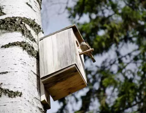 房（鳥のための鳥）それを自分でやりなさい。鳥ハウスの作り方 - 指導と図面